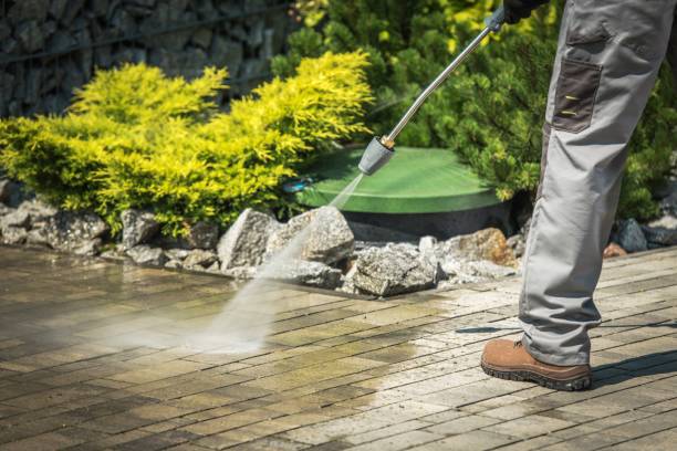 Boat and Dock Cleaning in Fern Park, FL