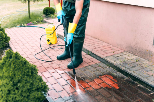 Best Sidewalk and Walkway Cleaning  in Fern Park, FL