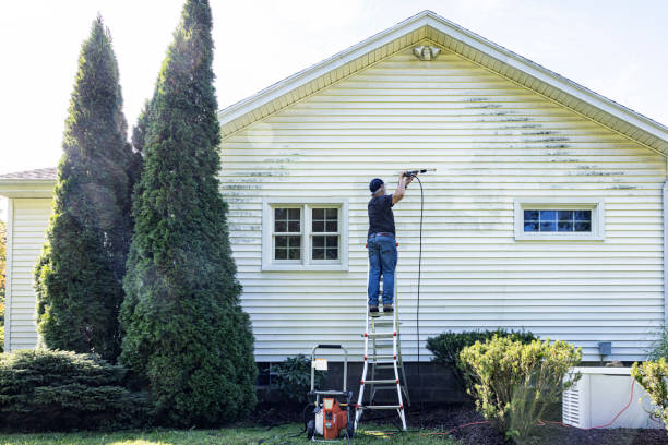 Best Building Exterior Washing  in Fern Park, FL